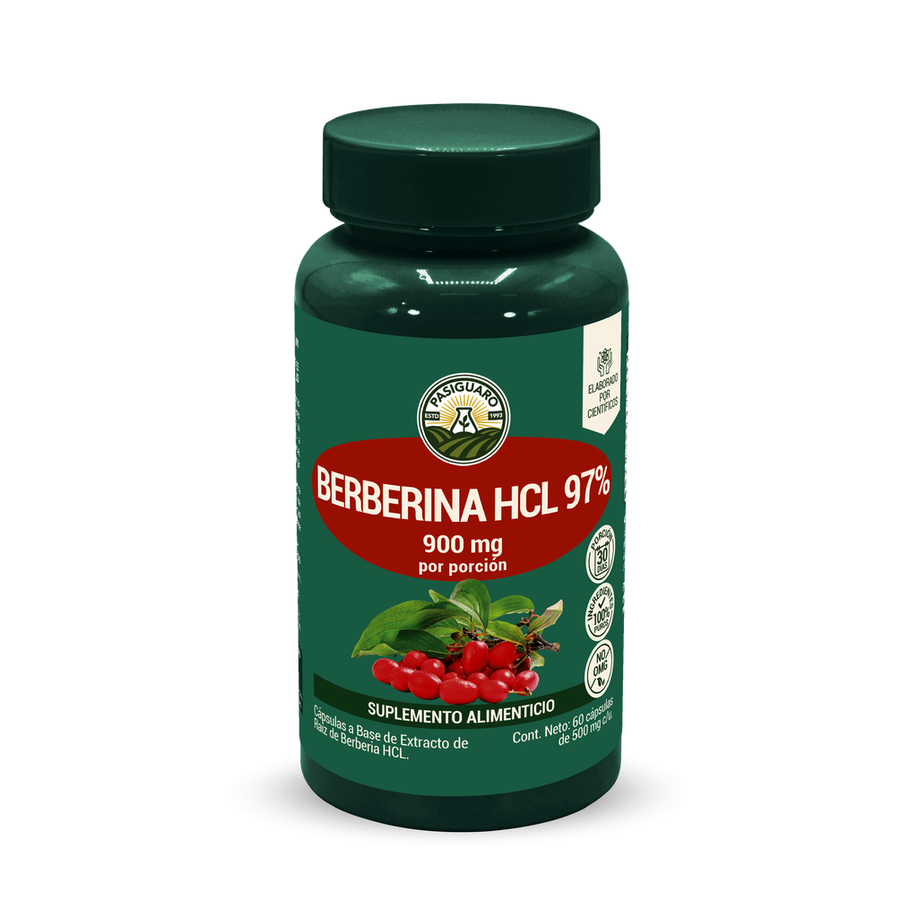 Berberina HCL 97% 60 caps de 500 mg